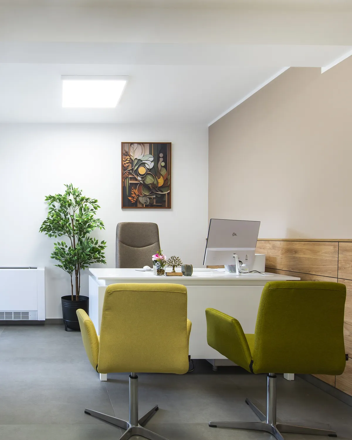 A bright, modern office with a desk, chairs and a potted plant